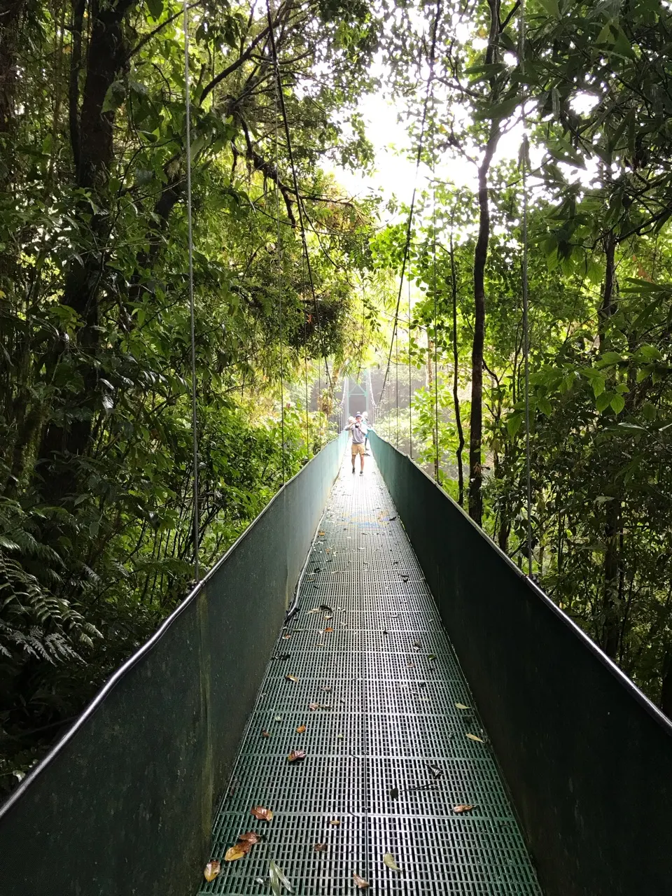 Een hangbrug die door het mistige nevelwoud van Monteverde loopt