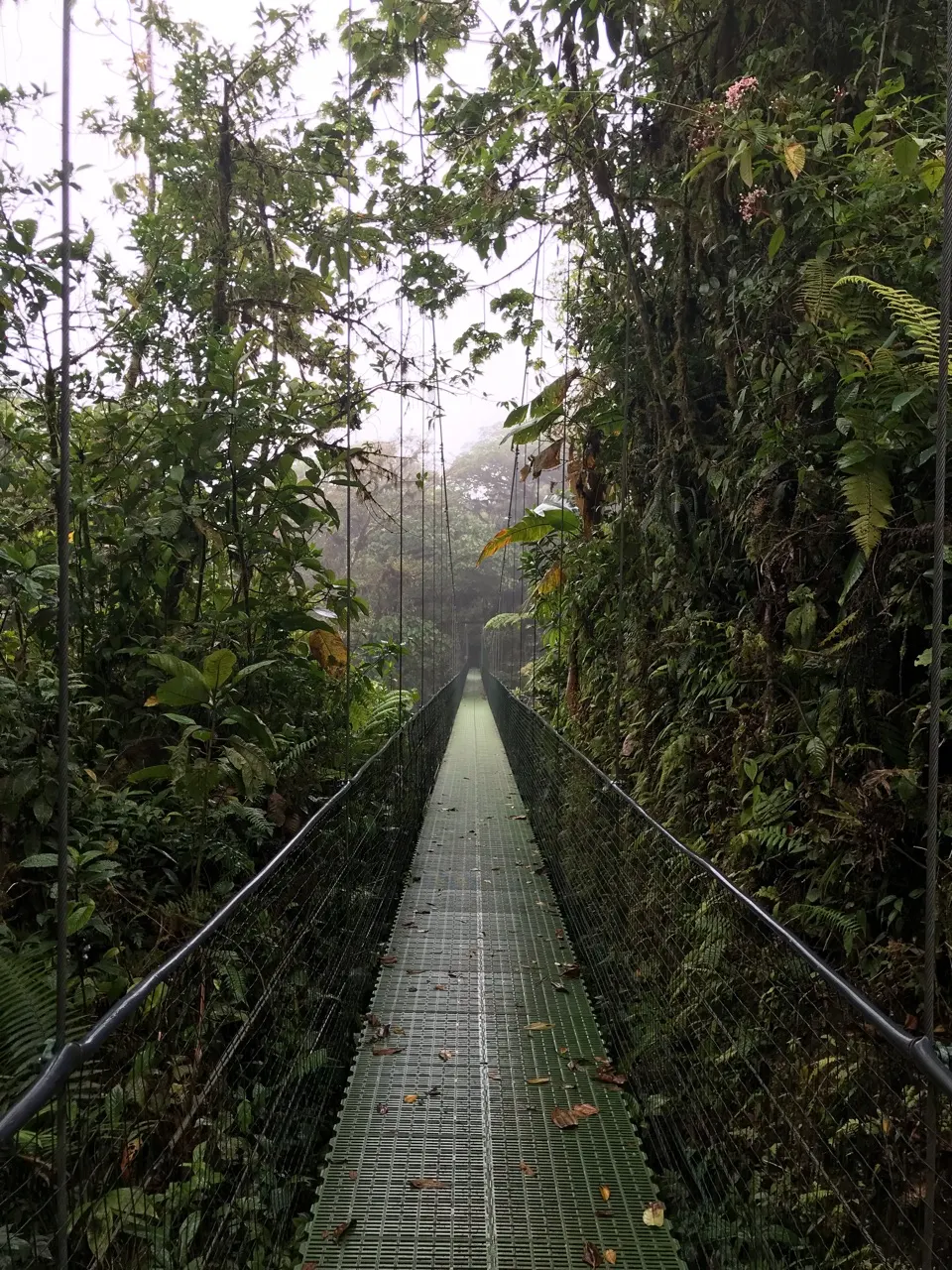 Een lange, hoge hangbrug hoog boven het nevelwoud van Monteverde