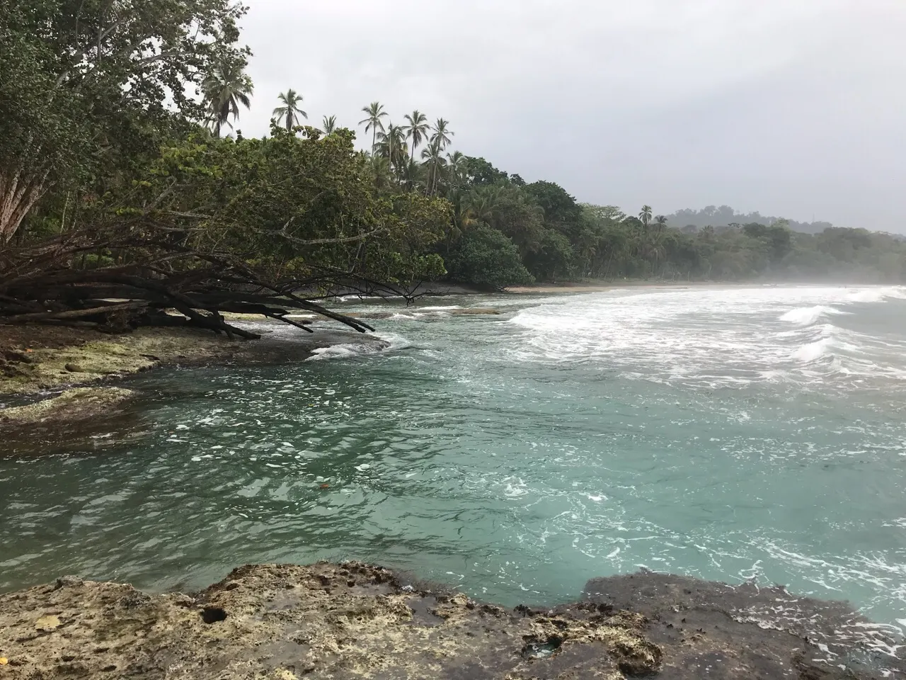 Turquoise baai met palmen aan de Caribische kust bij Puerto Viejo