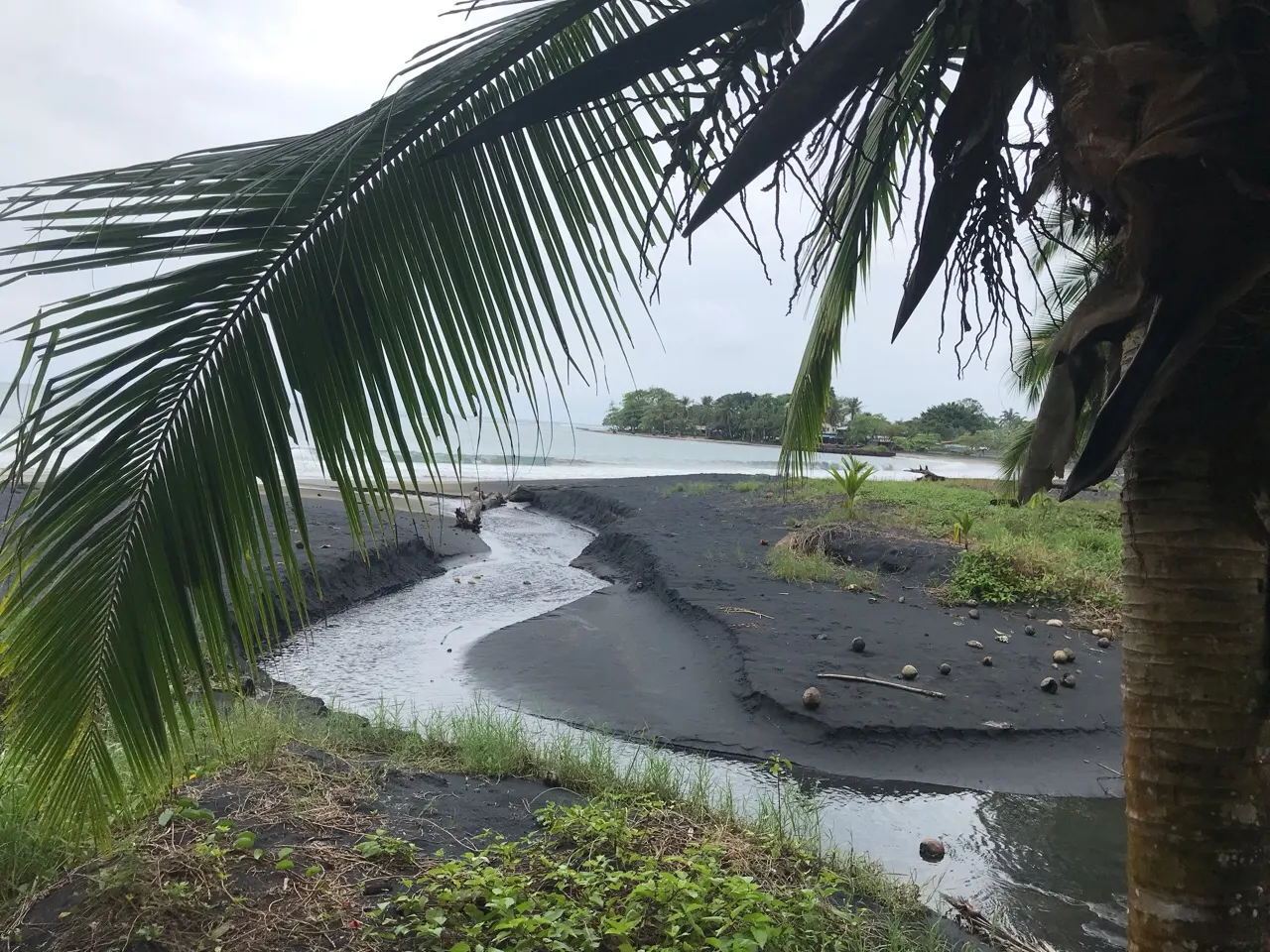 Zwart strand met palmen bij Puerto Viejo aan de Caribische kust van Costa Rica