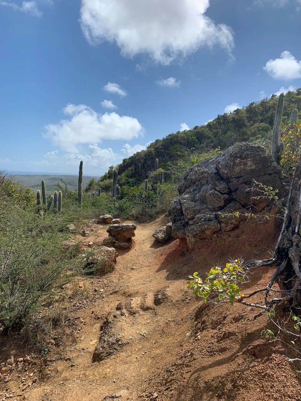 Steil bergpad met cactus omhoog richting de top van de Christoffelberg