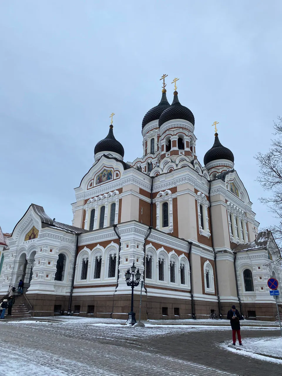 De Aleksander Nevsky-kathedraal met ui-koepels in Tallinn
