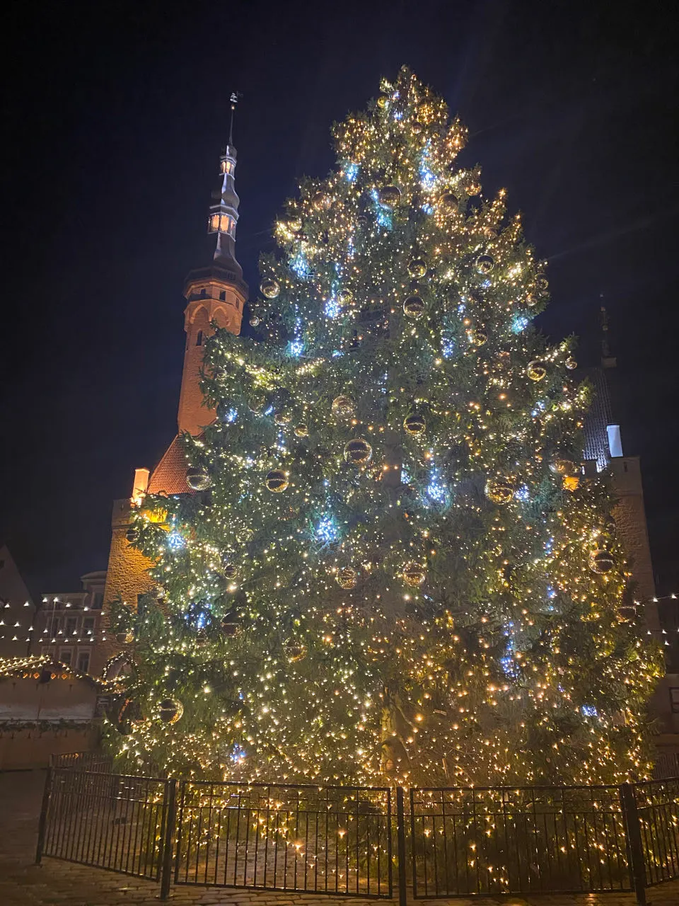 Grote verlichte kerstboom in de avond in Tallinn