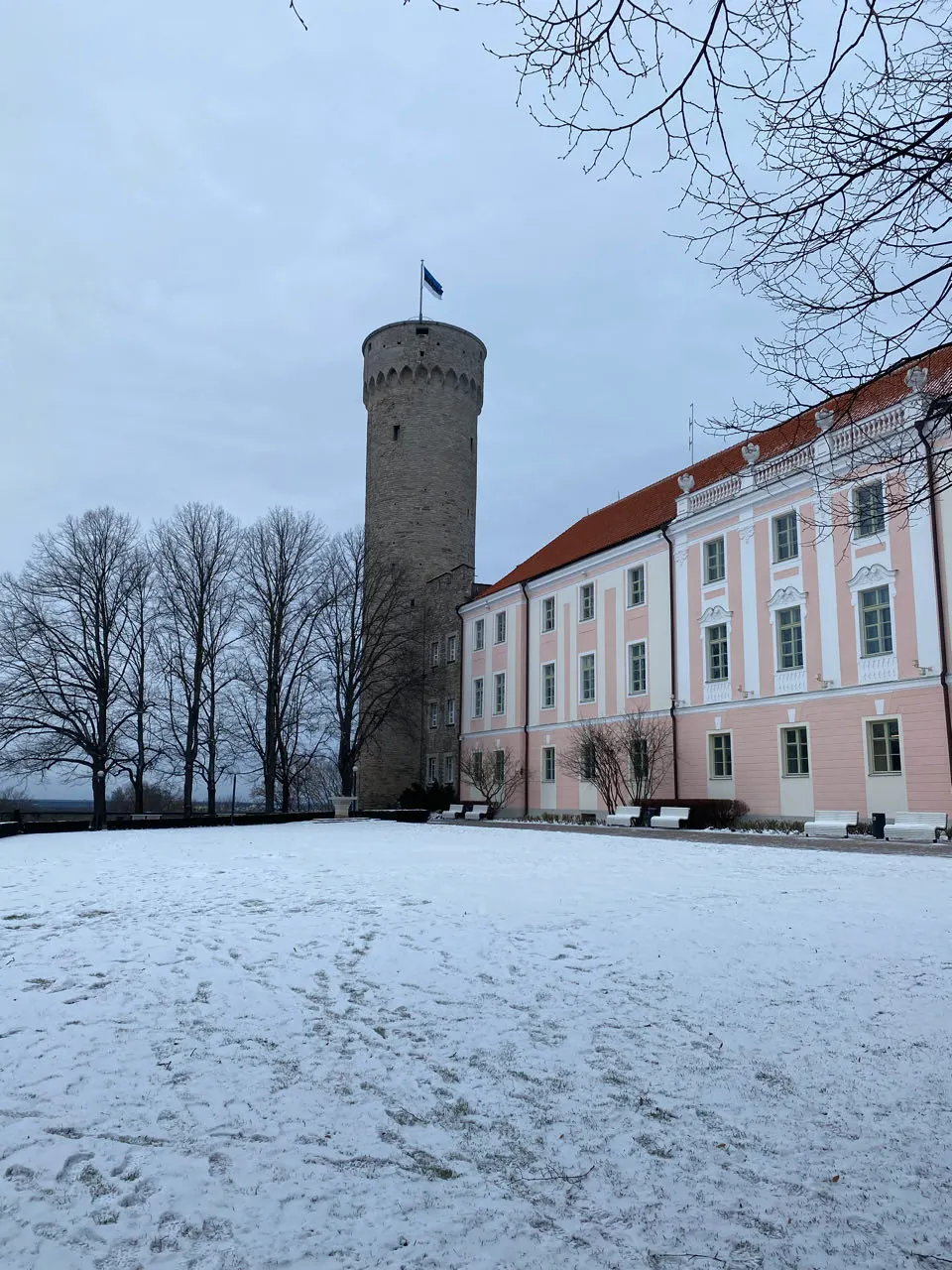 De Tall Hermann-toren en het kasteel op de Toompea-heuvel in de sneeuw