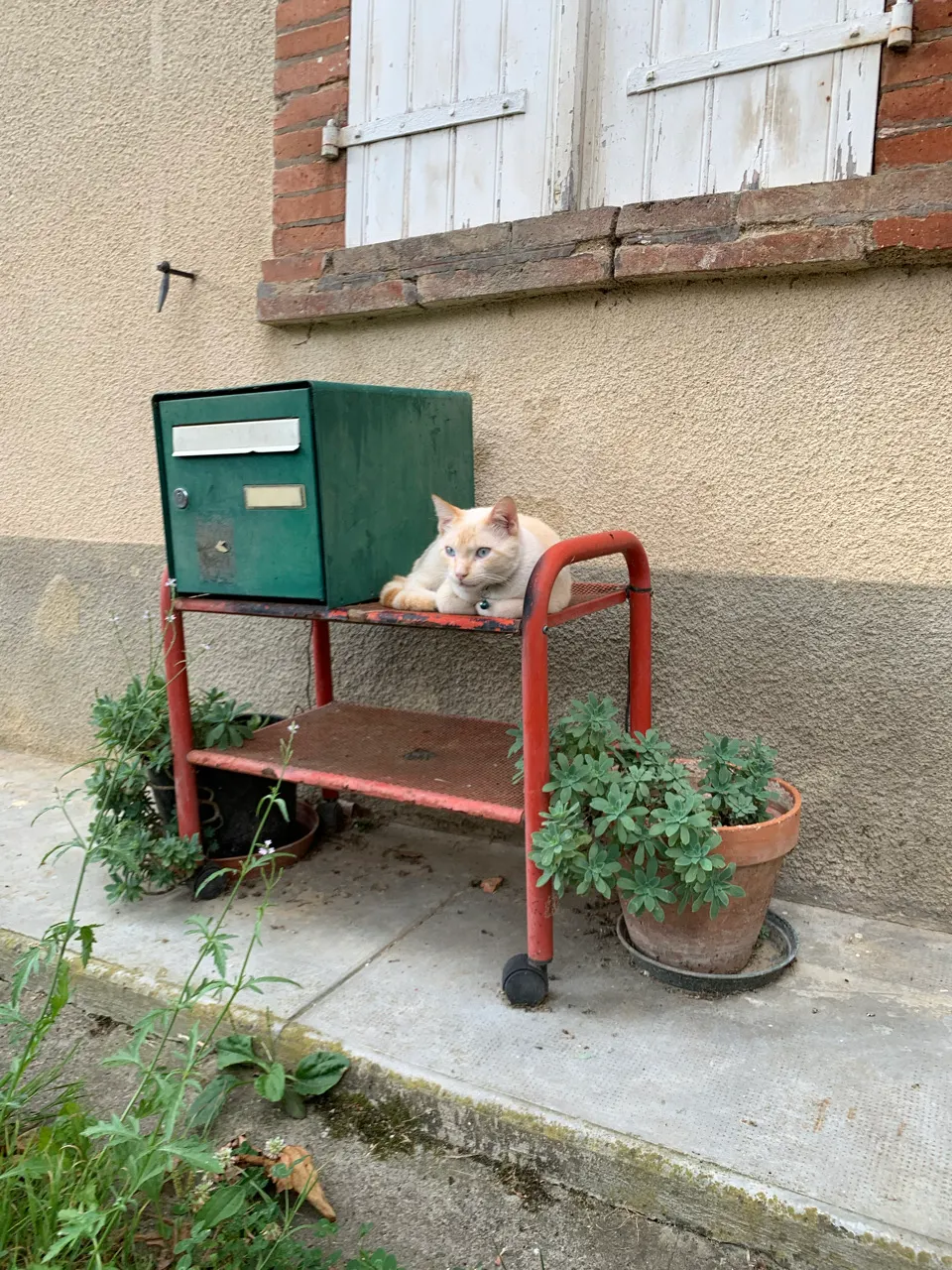 Een kat ligt te slapen op een rood bankje in een dorp in de Gers