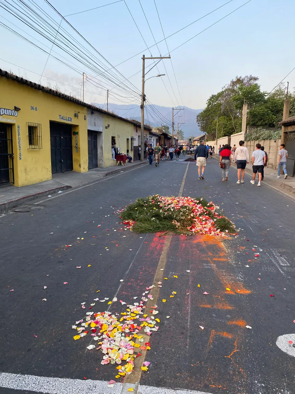 Een bloementapijt op een kasseienstraat in Antigua tijdens Semana Santa
