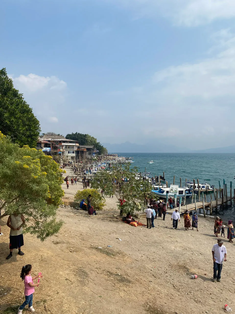 Uitzicht over het Lago de Atitlán met een boom op de voorgrond