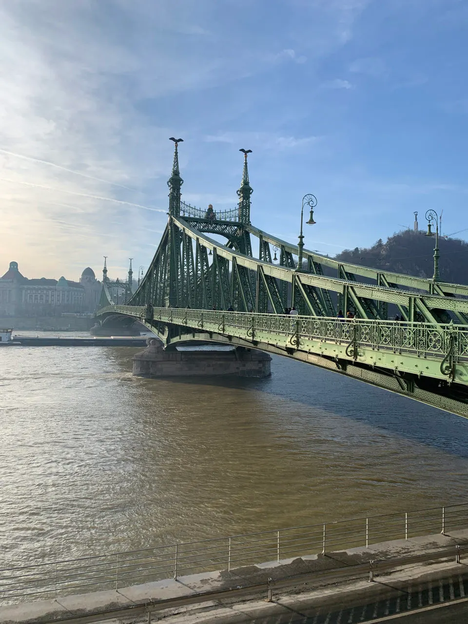 De groene Vrijheidsbrug over de Donau in Boedapest