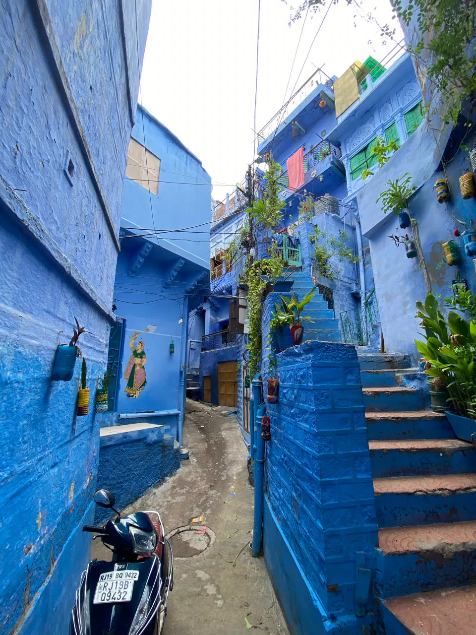 Blauwe straat met planten in de oude binnenstad van Jodhpur