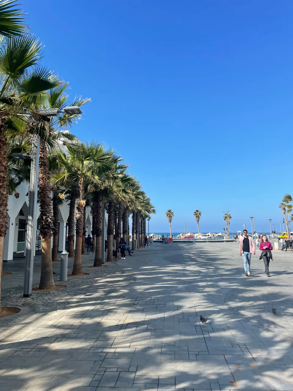 Palmbomen langs de boulevard van Tel Aviv met het strand op de achtergrond
