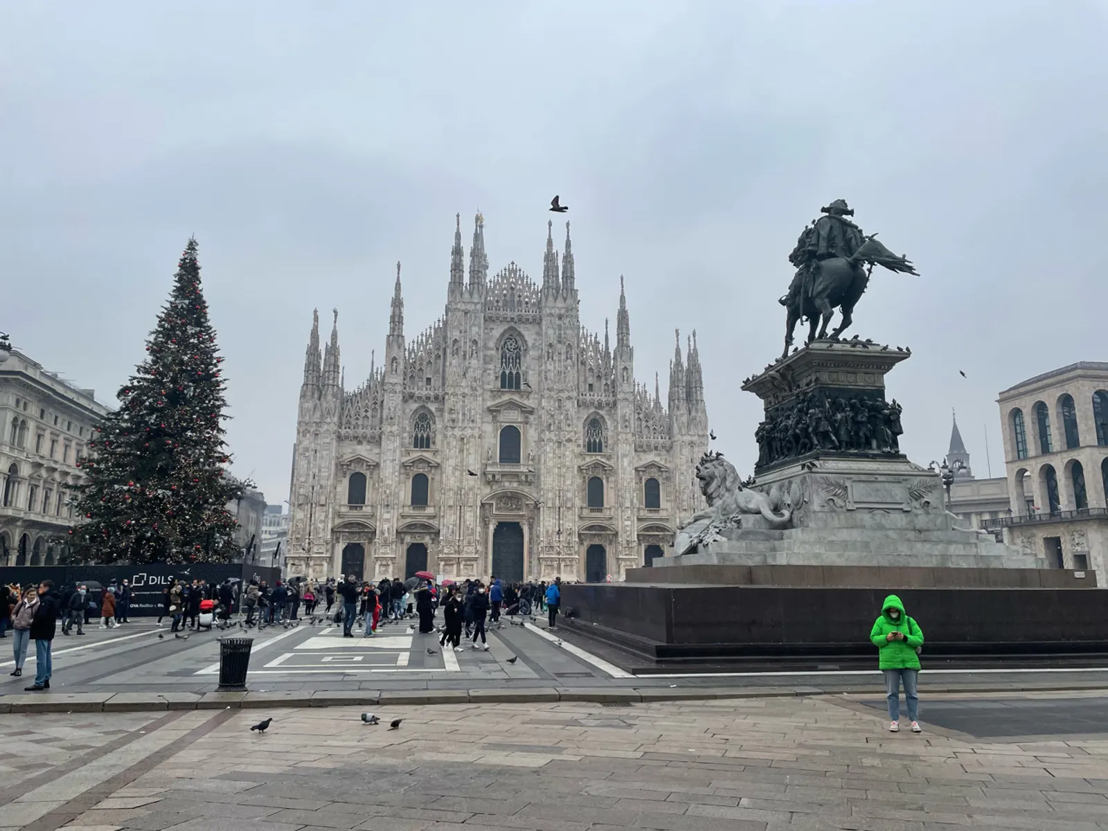 De Duomo van Milaan met een grote kerstboom op het plein