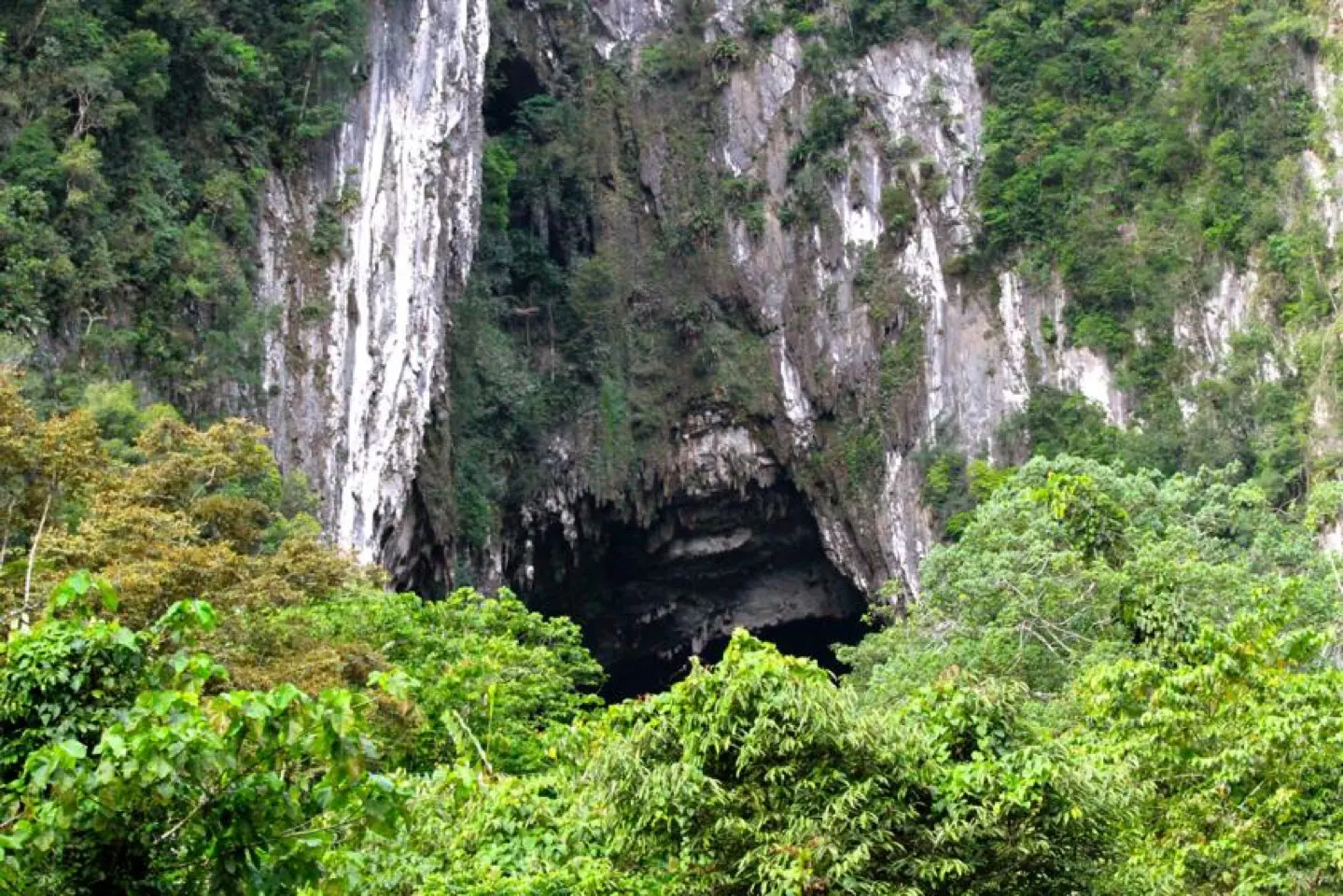 De enorme donkere ingang van Deer Cave in een met jungle begroeide kalksteenwand
