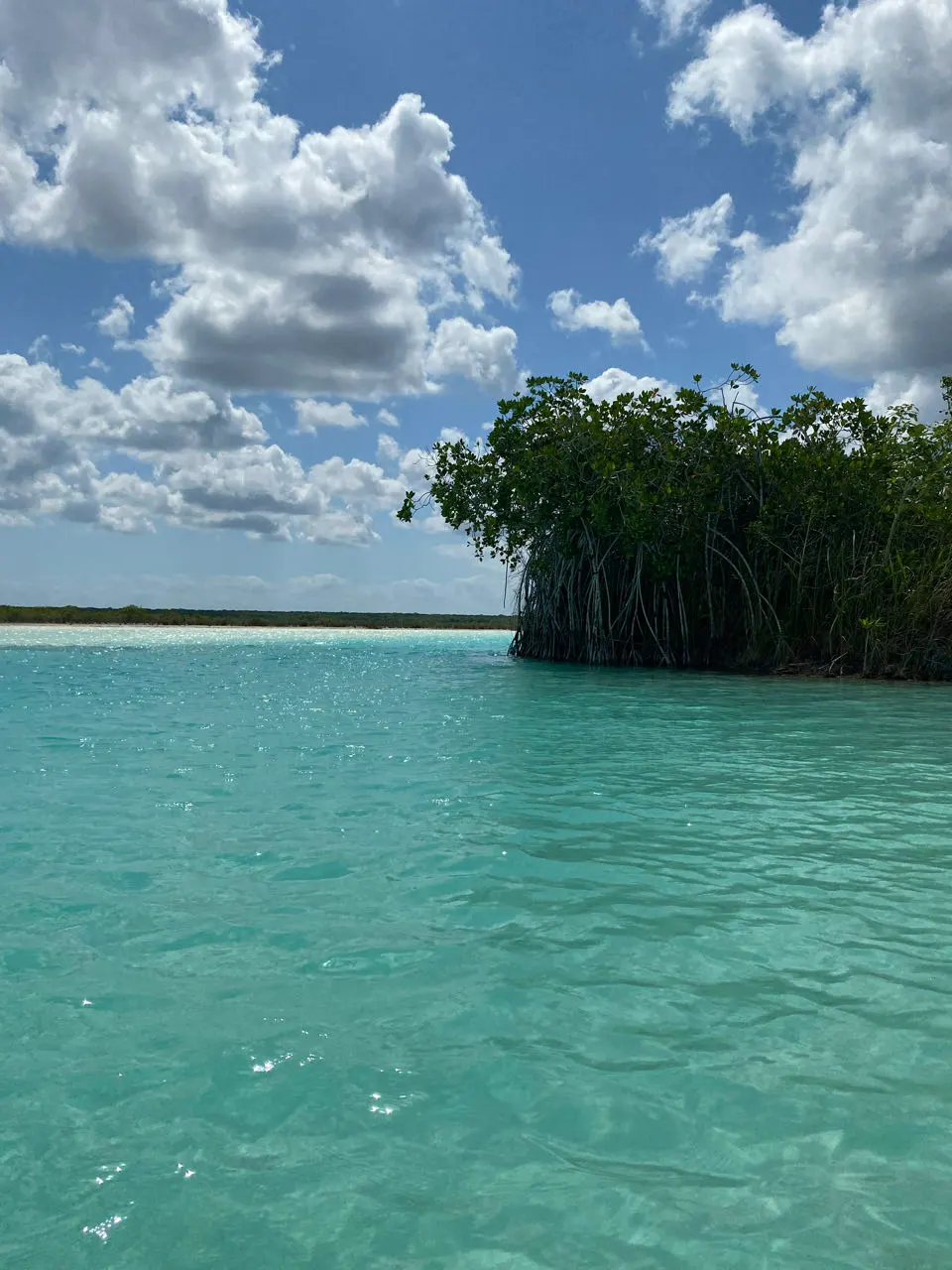 Klein mangrove-eilandje in het heldere turquoise water van Bacalar