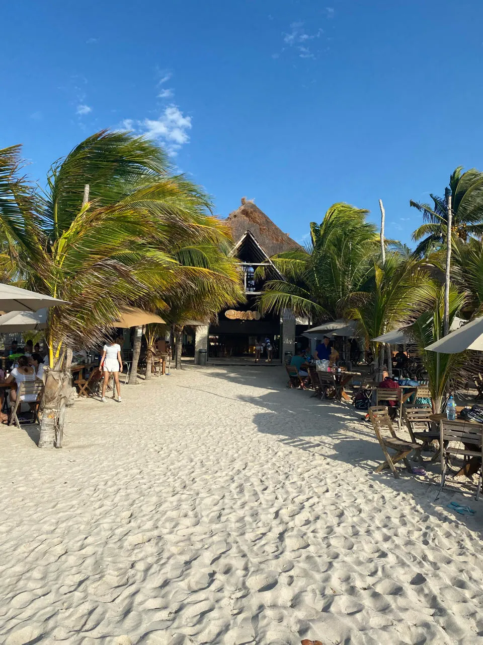 Het strand van Celestún met palapas en palmbomen