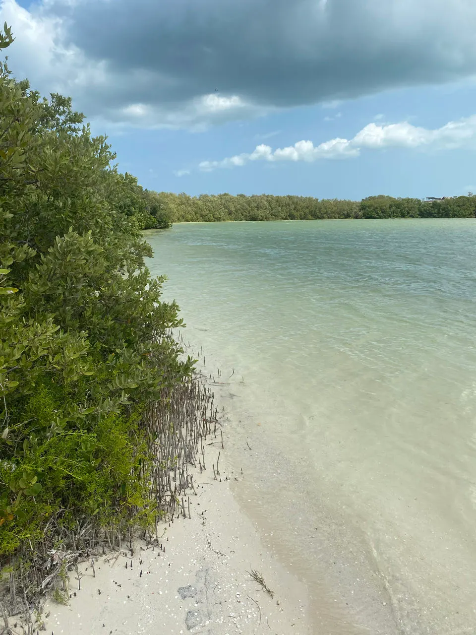 Ondiep turquoise water aan het strand van Holbox