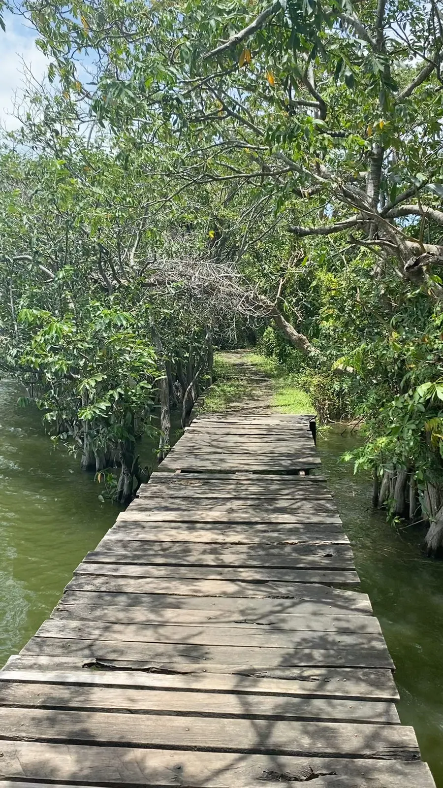 Houten looppad door de jungle bij Charco Verde op Ometepe