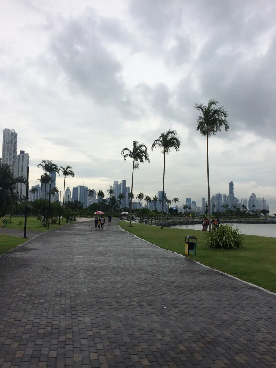 De Cinta Costera-promenade met palmbomen en de skyline van Panama-Stad in de verte