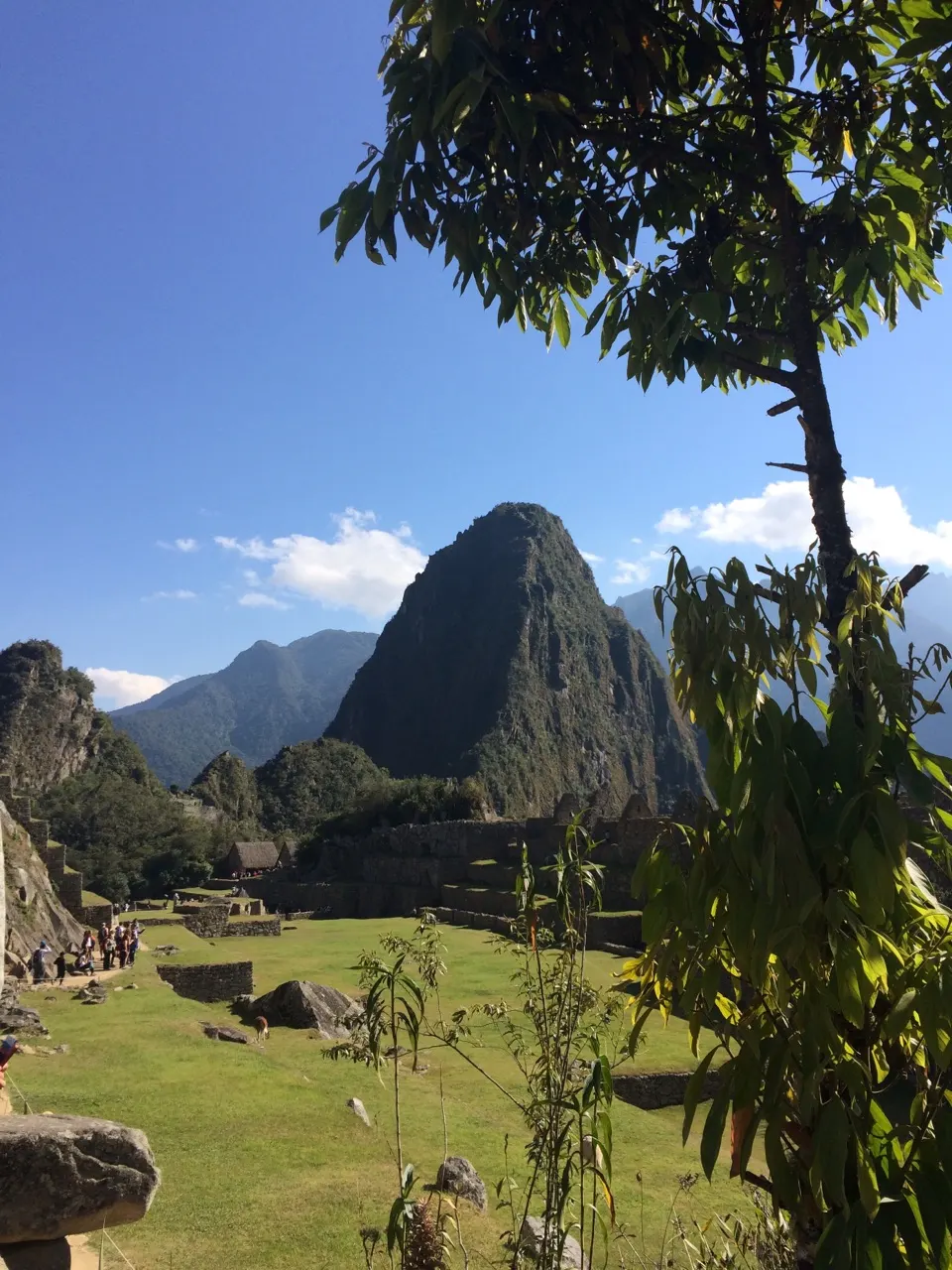 De ruïnes van Machu Picchu met terrassen en de piek Huayna Picchu