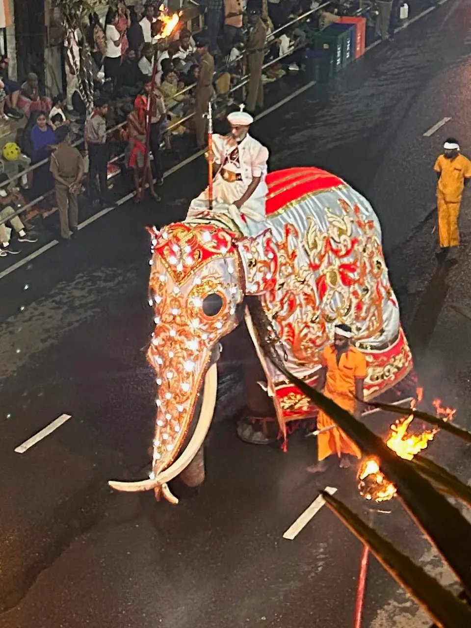 Een rijkelijk versierde olifant tijdens de Esala Perahera-optocht in Kandy