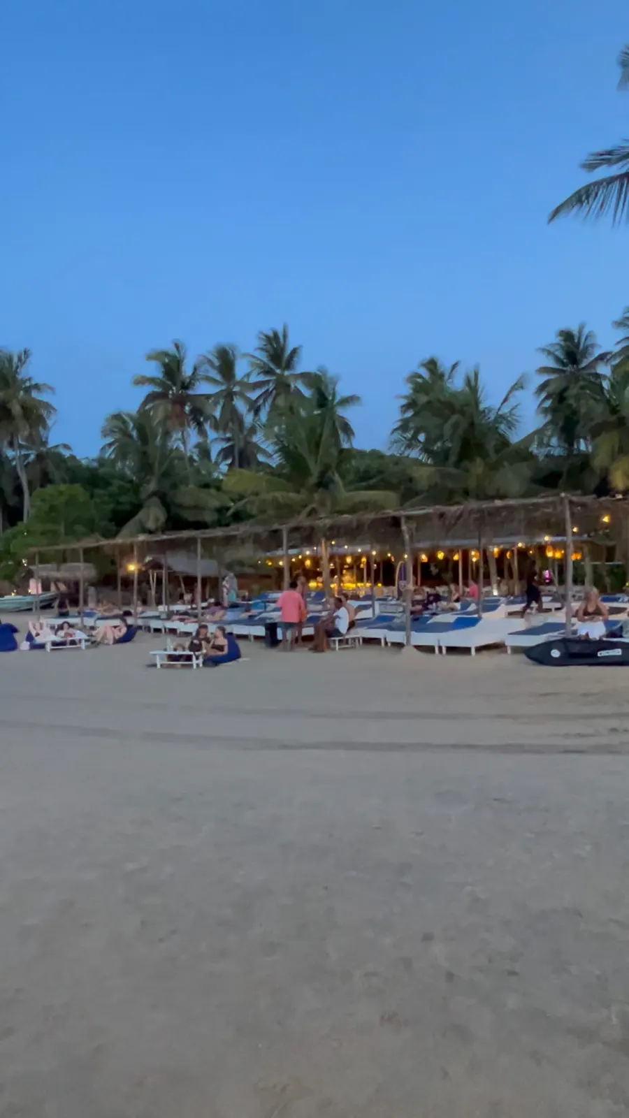 Palmbomen en vissersboten op het strand van Arugam Bay in de avond