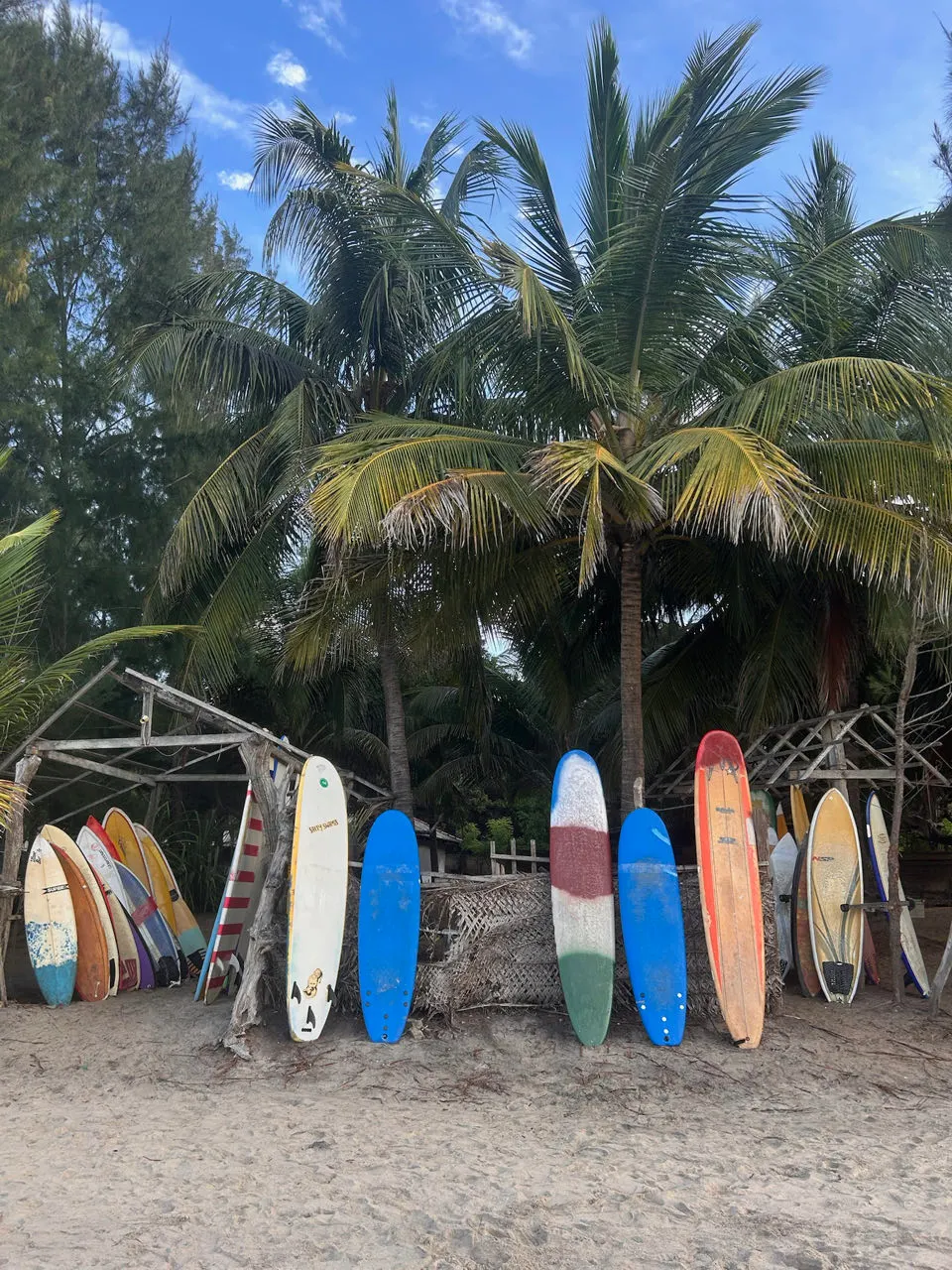 Surfplanken op een rij onder de palmen in Arugam Bay