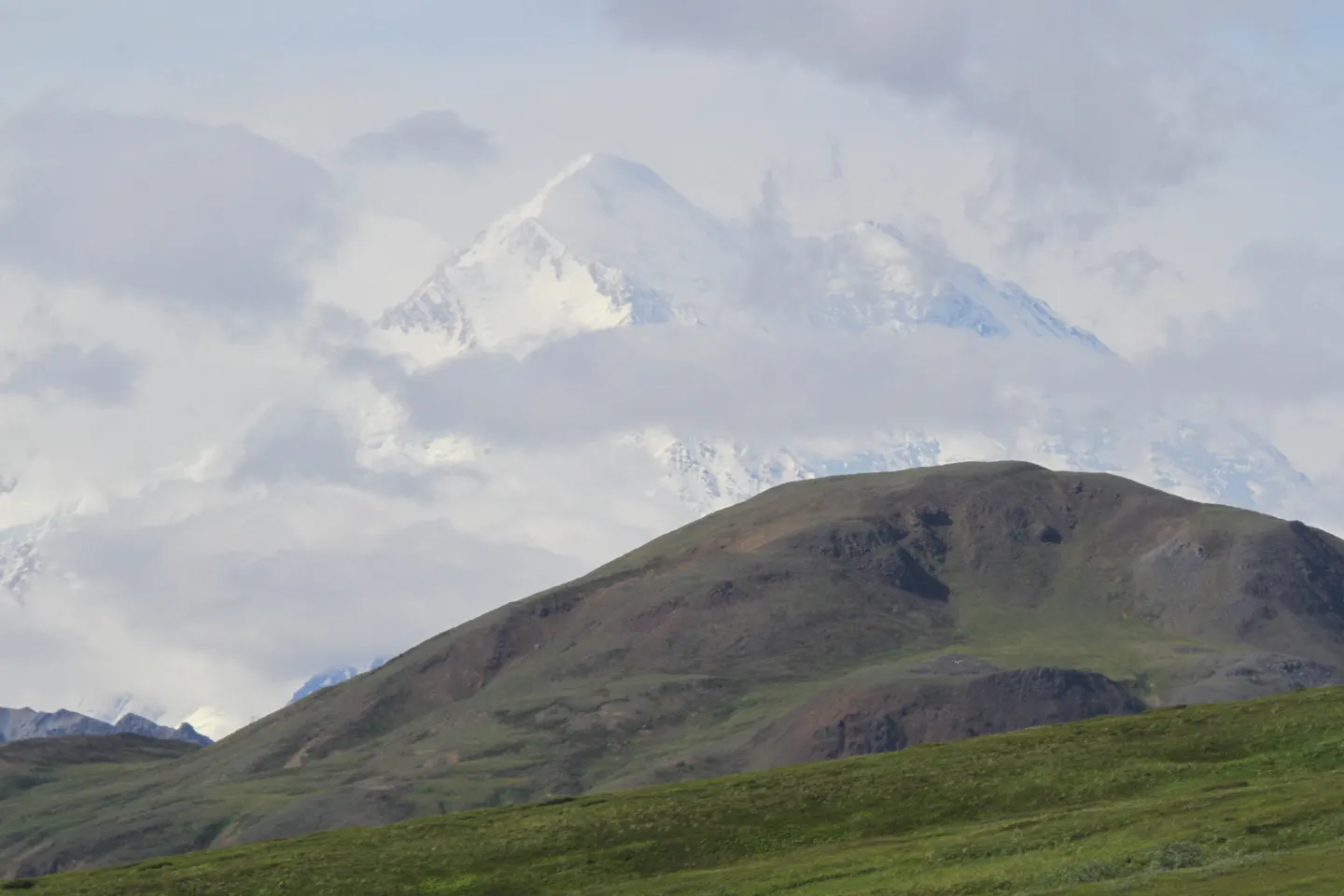 Een besneeuwde bergtop boven de groene toendra in Denali National Park