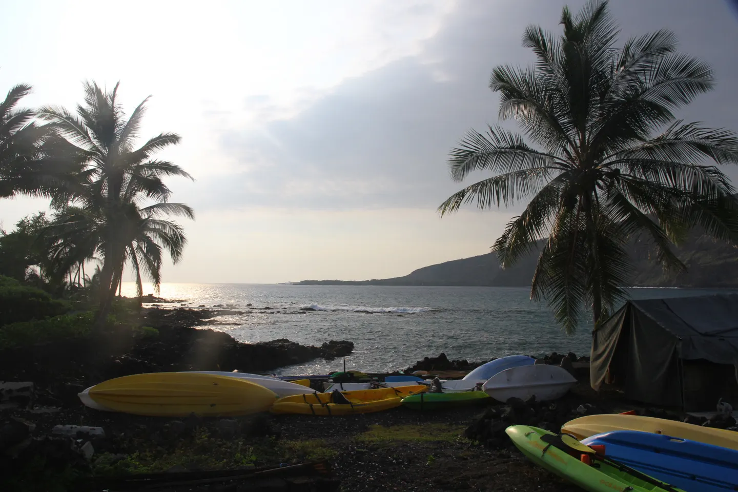 De kustlijn van Kealakekua Bay op Big Island met kliffen en palmbomen