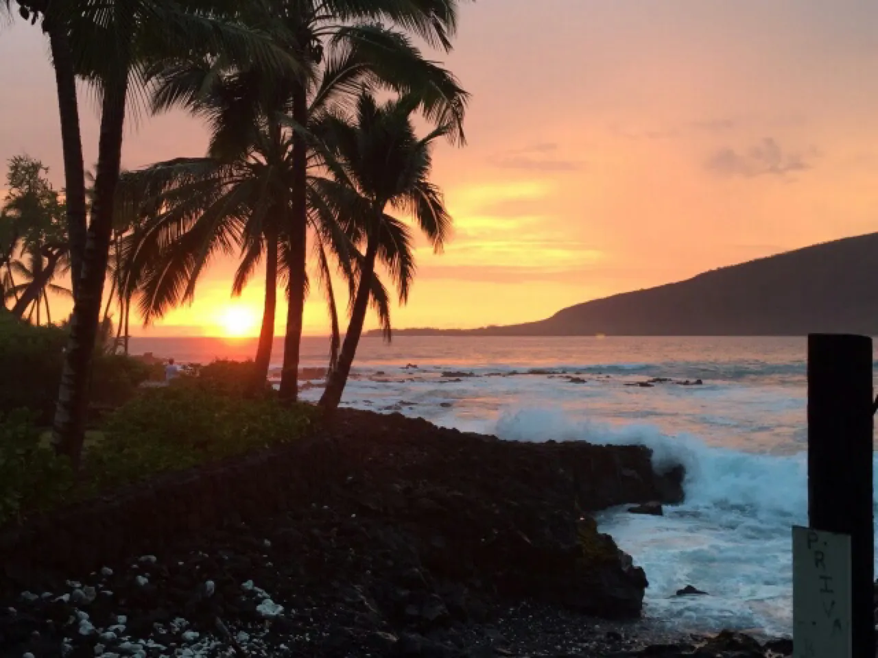 Palmbomen als silhouet tegen een oranje lucht bij zonsondergang op Hawaï