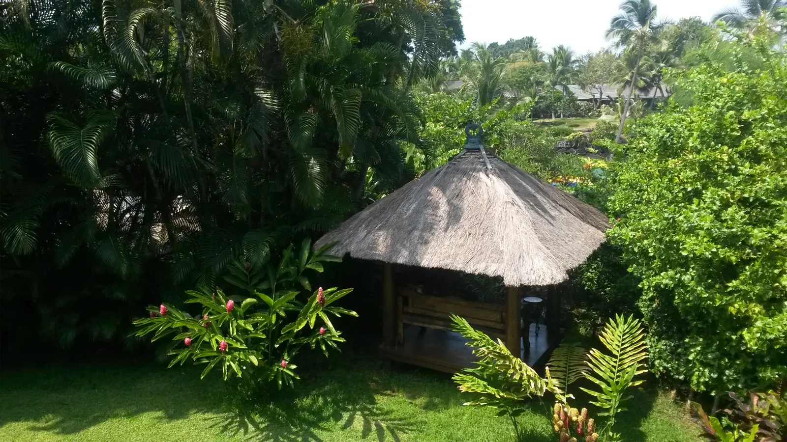 Een groene tropische tuin met een palmhut op Big Island