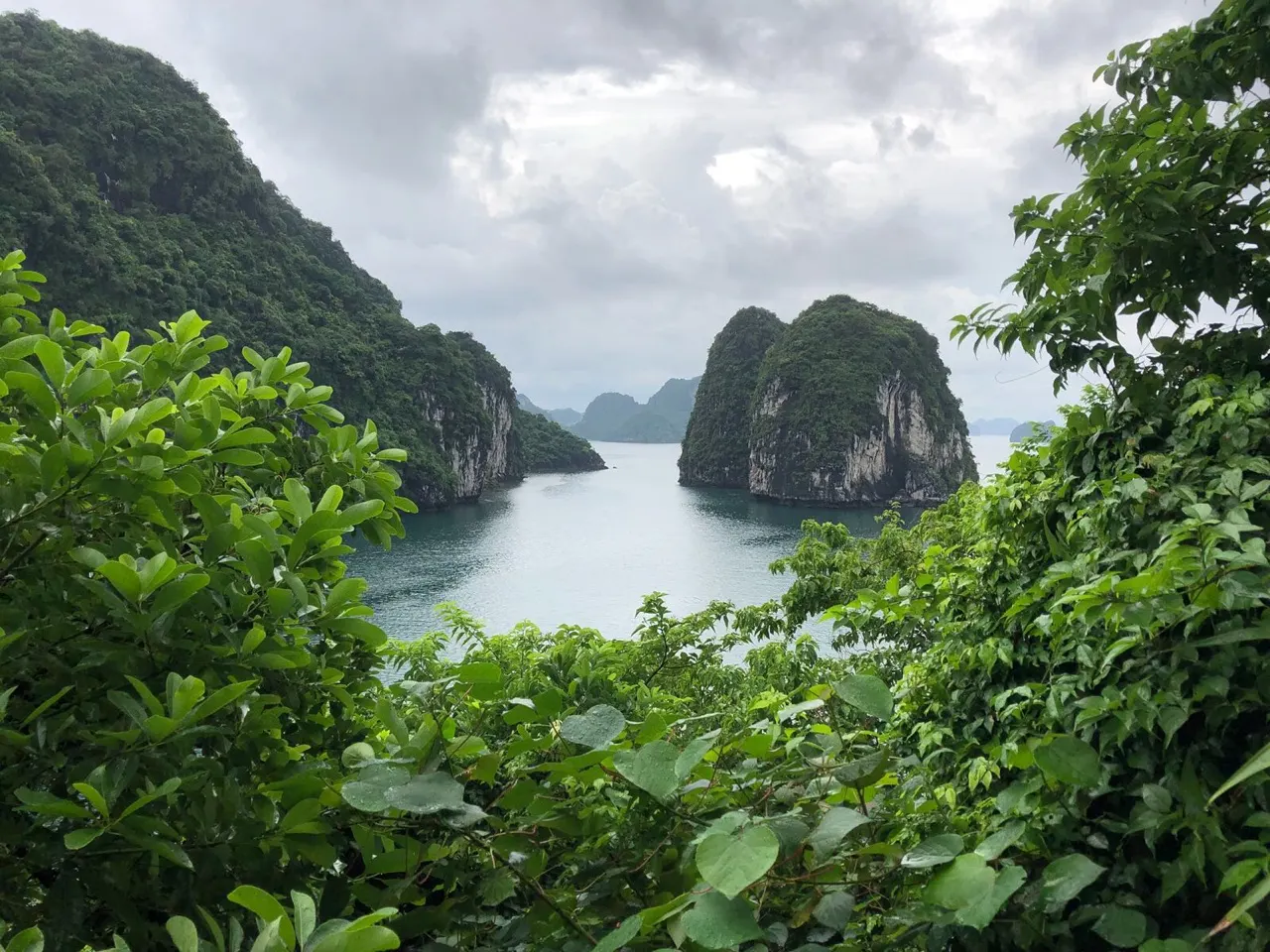 Uitzicht door het groen op de kalksteenrotsen en het water van Ha Long Bay