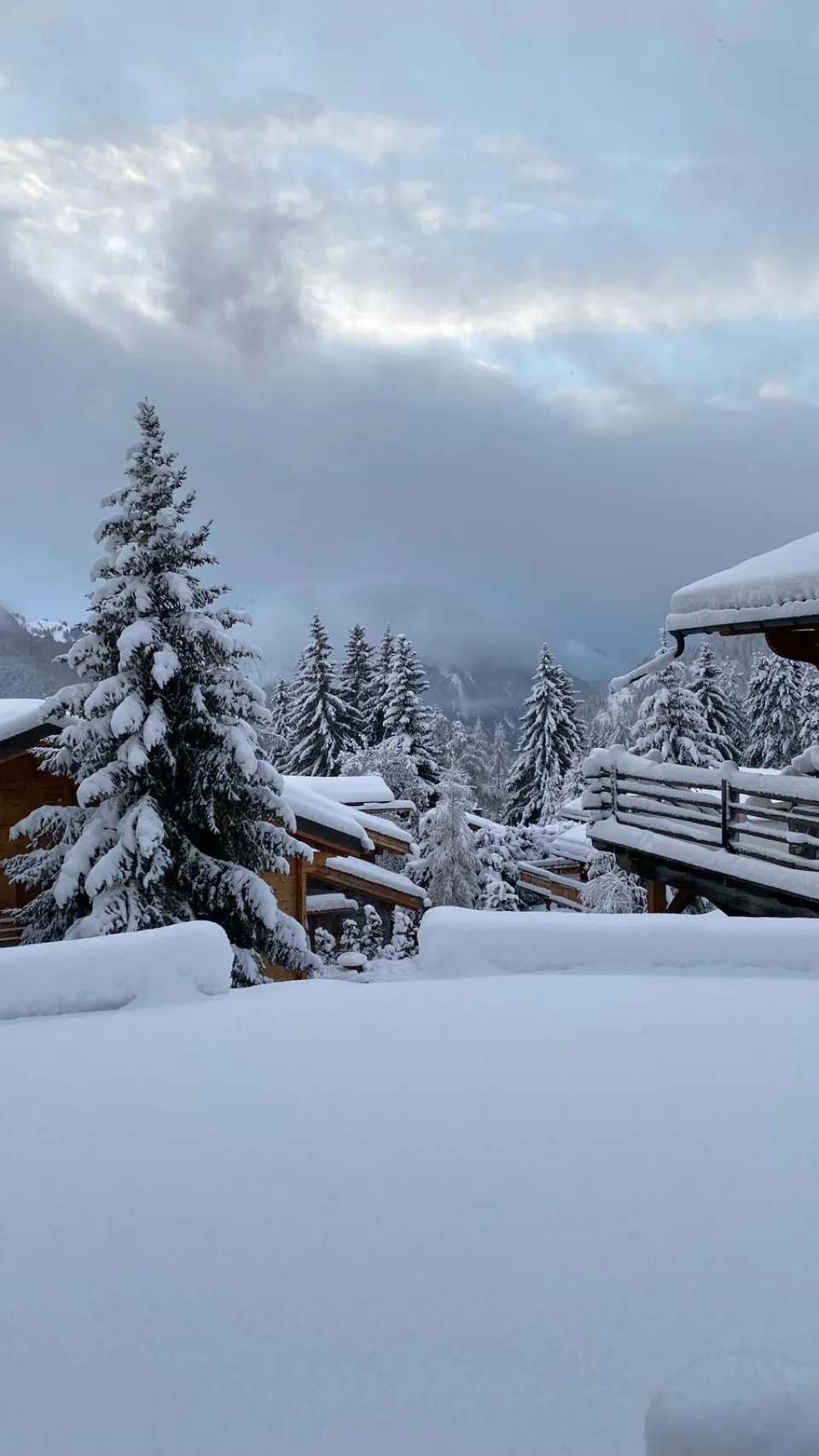 Besneeuwd houten chalet aan de rand van Verbier tussen de bomen